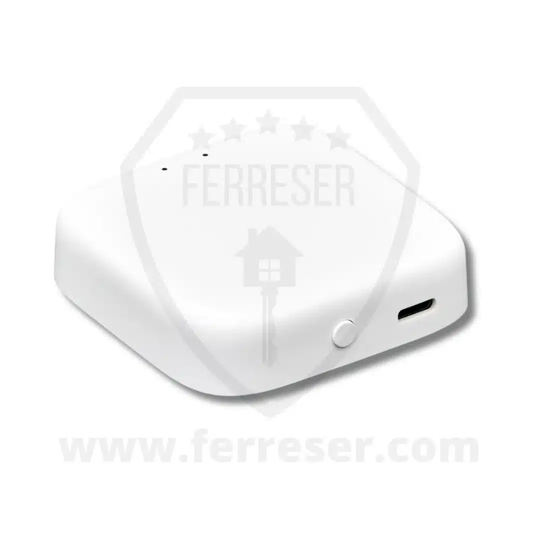 Dispositivo WIFI Arregui Bridge